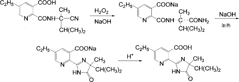 Oxidative cyclization and acidification steps yielding Crystal Form II Imazethapyr