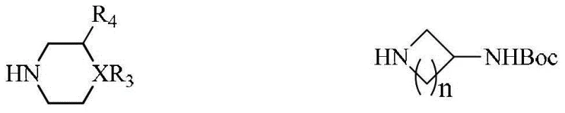 Final amide coupling reaction using HATU and DIPEA to attach diverse amine groups to the naphthyridine scaffold