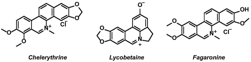General reaction scheme for Pd/Cu co-catalyzed synthesis of imidazophenanthridine compounds