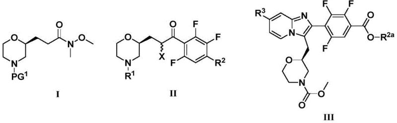 General chemical structures of imidazopyridine intermediates Formula I, II, and III