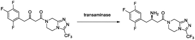 Transaminase catalyzed synthesis of sitagliptin precursor from ketoamide substrate