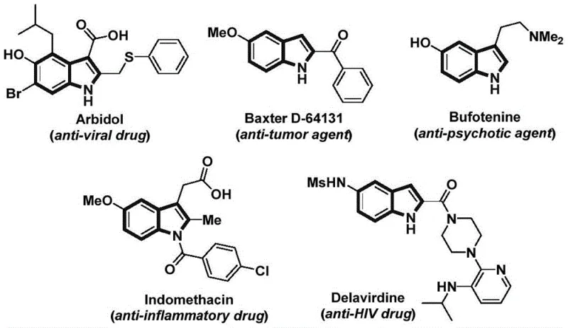 Structural examples of indole-based pharmaceutical agents including Arbidol (anti-viral), Baxter D-64131 (anti-tumor), Bufotenine (anti-psychotic), Indomethacin (anti-inflammatory), and Delavirdine (anti-HIV)