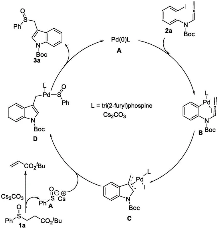 Catalytic cycle mechanism showing oxidative addition, insertion, and reductive elimination steps