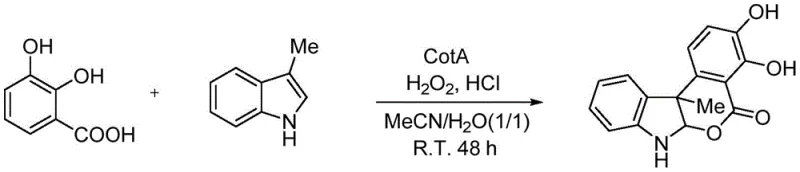 Specific synthetic route for Example 1 showing 87% yield using 3-methylindole