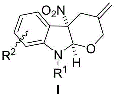 General structure of indoline tetrahydropyran compounds showing variable R1 and R2 substituents