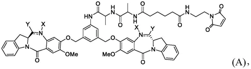 Chemical structure of Formula A representing the core indolino benzodiazepine dimer payload