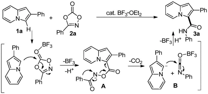 Proposed reaction mechanism showing Lewis acid activation and ring-opening of dioxazolone