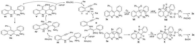 Detailed catalytic cycle diagram illustrating rhodium-mediated transformation pathway from alkynyl aniline substrates through multiple intermediates to final indolo[3,2-c]quinoline product