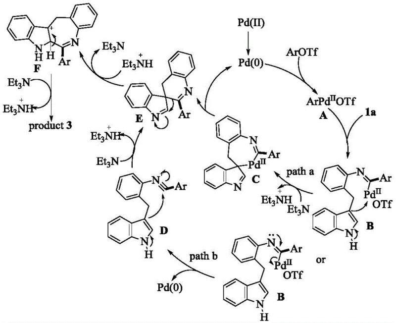Proposed catalytic mechanism for the palladium-catalyzed C-H cyclization showing oxidative addition and insertion steps