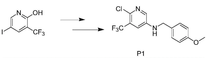 Downstream application of the intermediate to form Compound P1