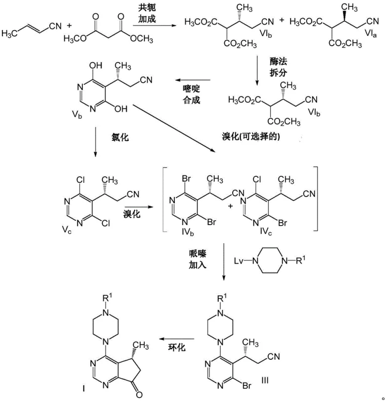 Chiral resolution and pyrimidine synthesis pathway