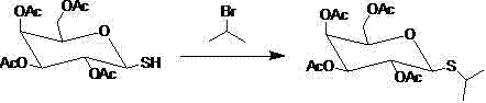 Reaction scheme showing the alkylation of S-tetraacetylgalactose with isopropyl bromide to form the protected IPTG intermediate