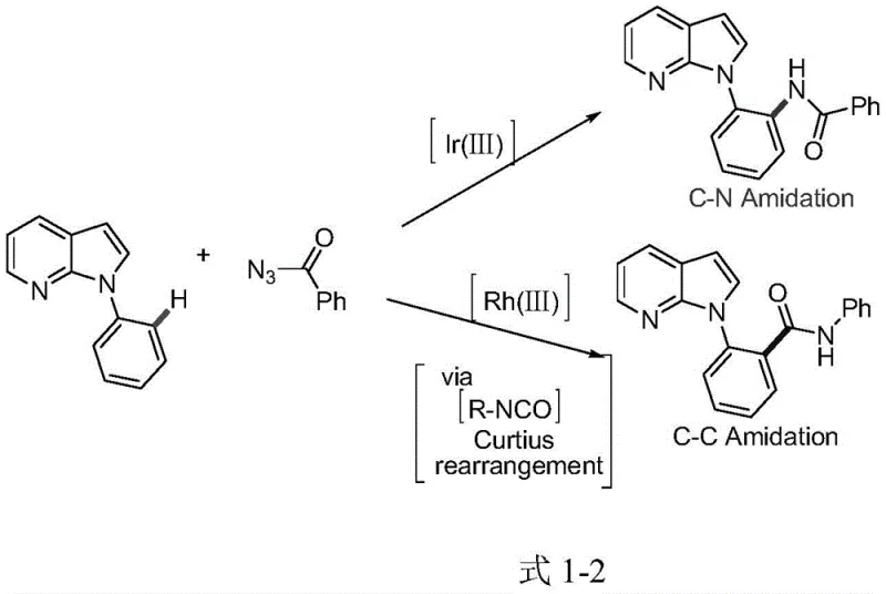 Comparison of Ir(III) vs Rh(III) catalytic pathways showing selective C-N amidation