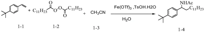 Specific reaction scheme for Example 1 showing Styrene conversion to Amide
