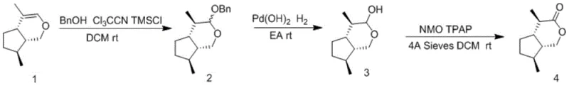 Reaction scheme showing the three-step synthesis of isoargentine from compound 1 via benzyl protection, hydrogenation, and TPAP oxidation