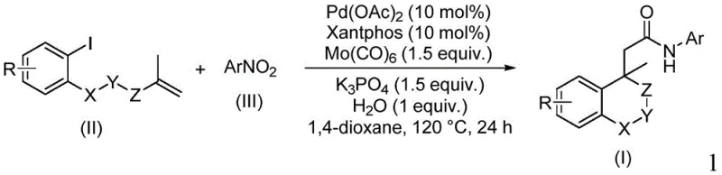 General reaction scheme showing the conversion of iodoarenes and nitroarenes to isochroman amides