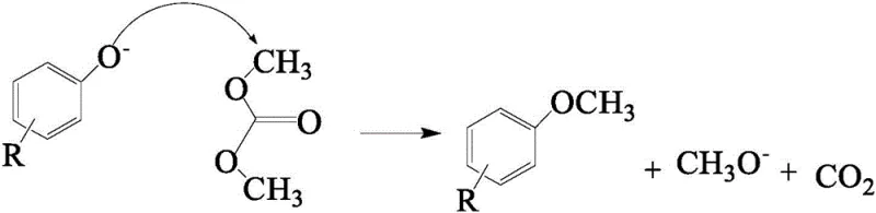 Mechanism of phenolic hydroxyl methylation via nucleophilic attack on DMC