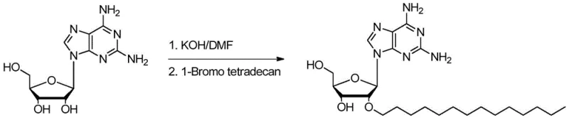 Optimized synthesis route using KOH and 1-Bromotetradecane yielding high purity intermediate