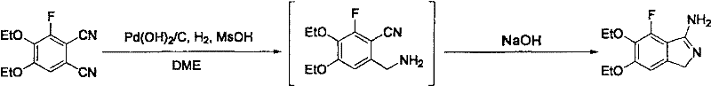 Specific reaction conditions for Example 1 showing Pd(OH)2/C and MsOH in DME