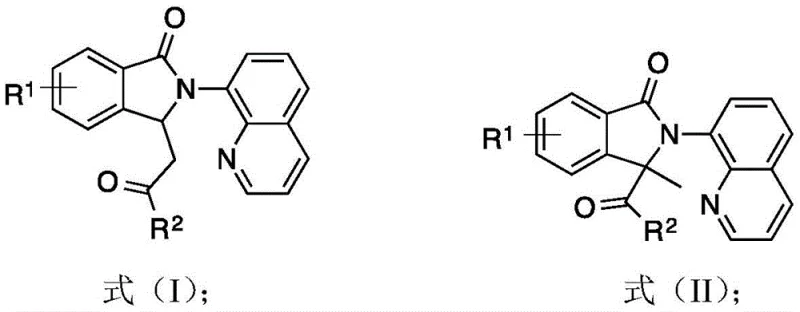 General chemical structures of Formula (I) and Formula (II) isoindolinone derivatives