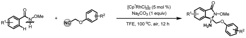 General reaction scheme showing rhodium-catalyzed synthesis of isoindolinones from N-methoxybenzamide and phenoxyacetonitrile