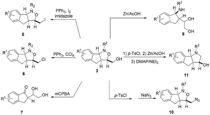 Derivatization reactions showing conversion of isoxazolidine to various bioactive derivatives
