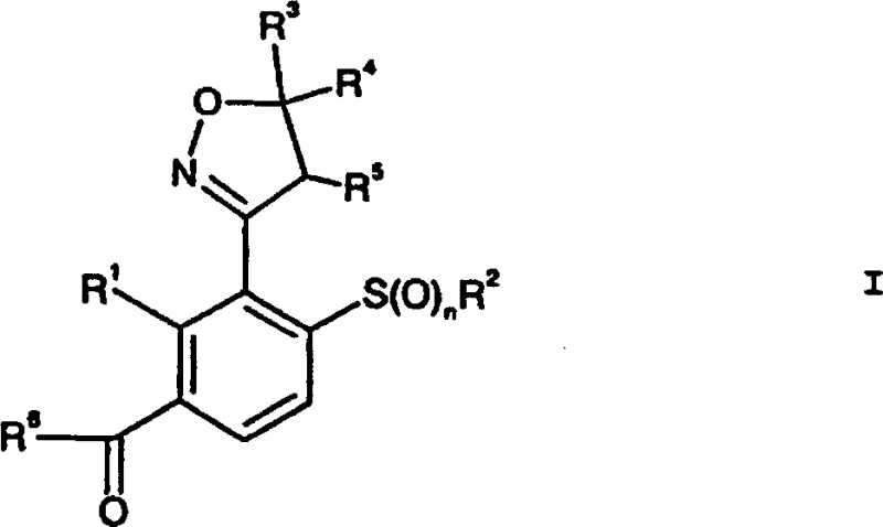 General structural formula I of isoxazolin-3-yl acylbenzene derivatives showing variable substituents R1 through R6