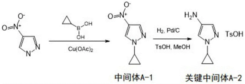 Reaction scheme for synthesis of Intermediate A-1 and Key Intermediate A-2 via Chan-Lam coupling and hydrogenation