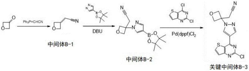 Reaction scheme for synthesis of Intermediate B-1, B-2 and Key Intermediate B-3