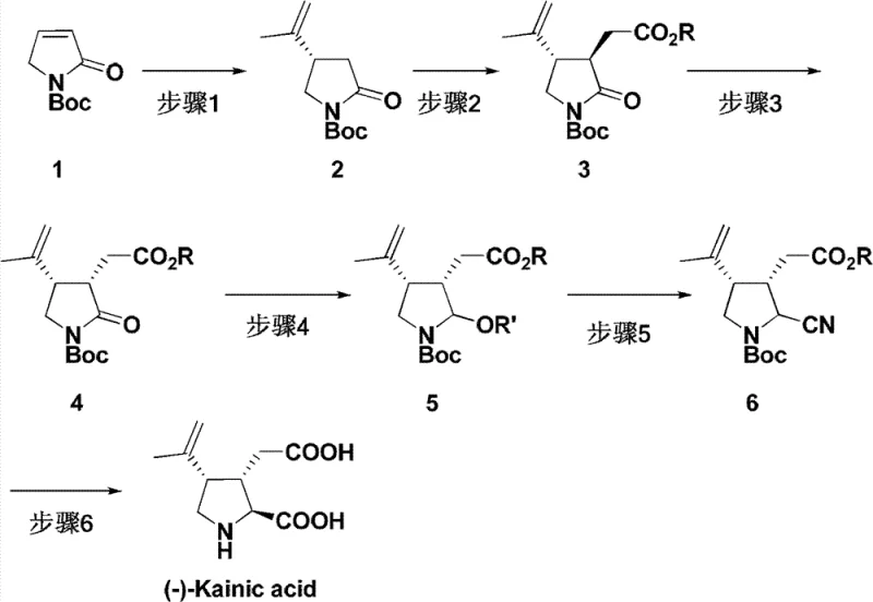 Overall synthetic route from unsaturated lactam to (-)-Kainic acid showing six key transformation steps