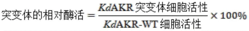 Schematic diagram of the coupled catalytic reaction between KdAKR mutant and glucose dehydrogenase for asymmetric reduction