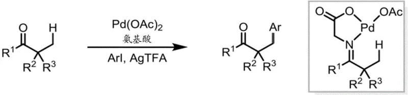 General reaction scheme for Pd-catalyzed beta-C-H arylation of ketones using aminooxyacetic acid auxiliary