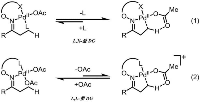 Mechanistic comparison showing the thermodynamic advantage of L,X-type DG over L,L-type DG in C-H insertion