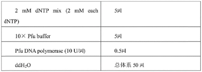 Expression plasmid map for Sma-1 ketoreductase mutant showing genetic construct for E. coli expression