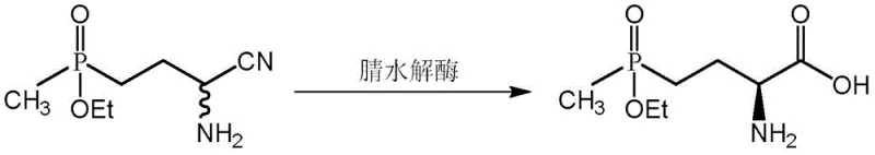 Chemical reaction scheme showing nitrilase-catalyzed hydrolysis of alpha-aminonitrile to L-amino acid