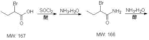 Reaction scheme showing the conversion of 2-bromobutyric acid to 2-bromobutyramide and subsequently to DL-2-aminobutyrylamide
