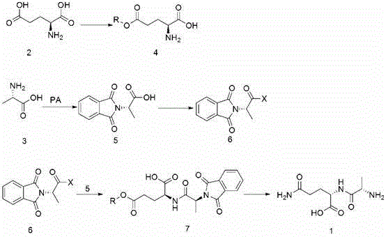 Reaction scheme showing the synthesis of L-alanyl-L-glutamine via phthalyl-L-alanyl halide and glutamic acid monoester condensation