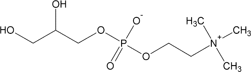 Chemical structure of L-alpha-glycerophosphocholine showing the choline headgroup and glycerol backbone linked by a phosphate ester