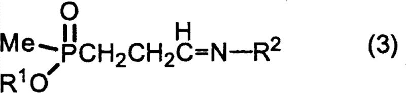 Chemical structure of the chiral urea derivative catalyst (Formula 6) used for asymmetric induction