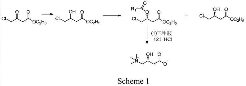 Overall synthetic scheme for high-optical-purity L-carnitine showing reduction, enzymatic resolution, and amination steps