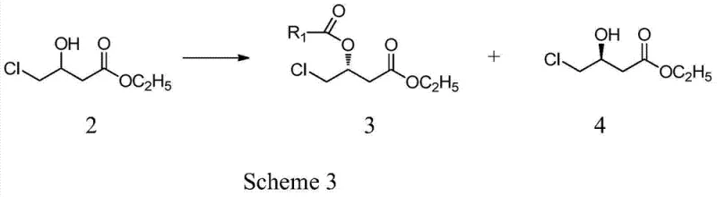 Scheme 3 showing the enzymatic asymmetric esterification resolving racemic mixture into R-ester and S-alcohol