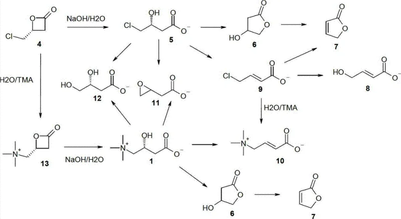 Potential side reactions and impurity control during beta-lactone ring opening
