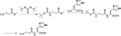 Reaction scheme showing the efficient synthesis of L-carnosine via BOC-protection, aminolysis condensation, and deprotection