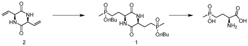 Overall reaction scheme showing the conversion of diallyl diketopiperazine to L-glufosinate-ammonium via radical addition and hydrolysis