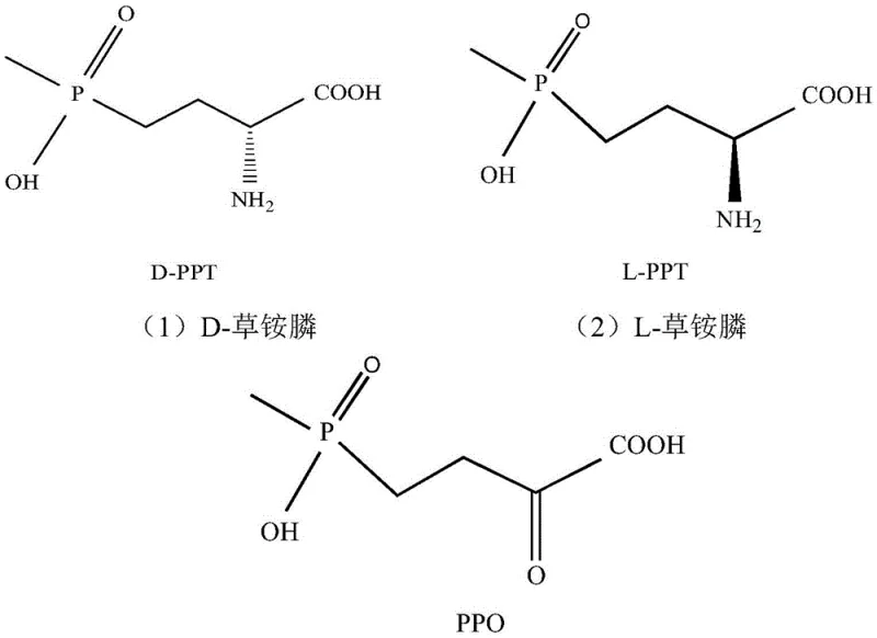 Chemical structures of D-PPT, L-PPT, and the intermediate PPO involved in the enzymatic deracemization pathway