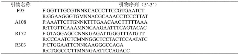 Schematic diagram of the coupled enzymatic reaction converting keto-acid substrate to L-glufosinate-ammonium using DyGDH mutant and glucose dehydrogenase