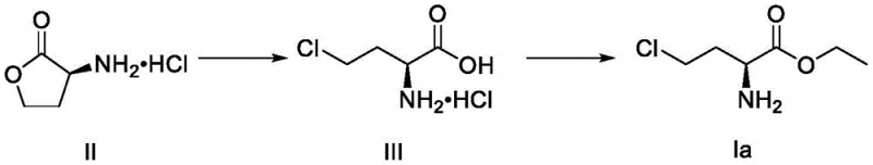 Specific synthesis example of (S)-4-chloro-2-aminobutyric acid ethyl ester showing reaction conditions and yields