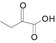 General structural formula of the heterocyclic keto acid substrate used in the enzymatic synthesis