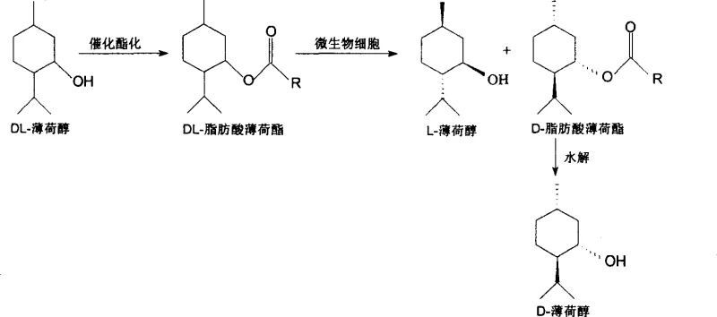 Reaction scheme showing the whole-cell stereoselective hydrolysis of DL-fatty acid menthyl ester into L-menthol and D-fatty acid menthyl ester, followed by chemical hydrolysis to D-menthol