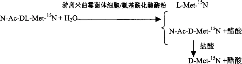 Reaction scheme showing enzymatic resolution of N-Ac-DL-Met-15N into L-Met-15N and N-Ac-D-Met-15N followed by acid hydrolysis